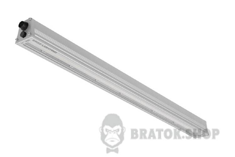 PX4090508.jpeg