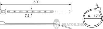 A0150090101-size.jpeg