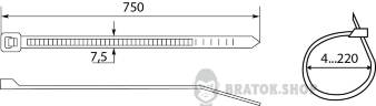 A0150090087-size.jpeg