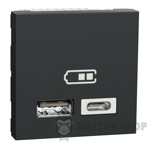Подвійна USB розетка A+C антр NU301854 в Киеве