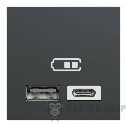 Подвійна USB розетка A+C антр NU301854 в Киеве
