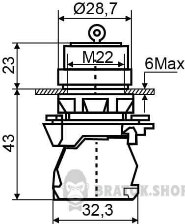 A0140010155-size.jpeg