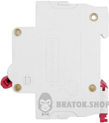 Модульний автоматичний вимикач e.mcb.stand.100.2.C125, 2р, 125А, C, 10кА