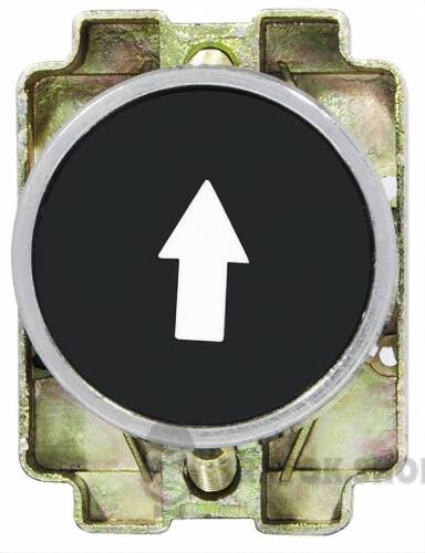 A0140010064-2.jpeg