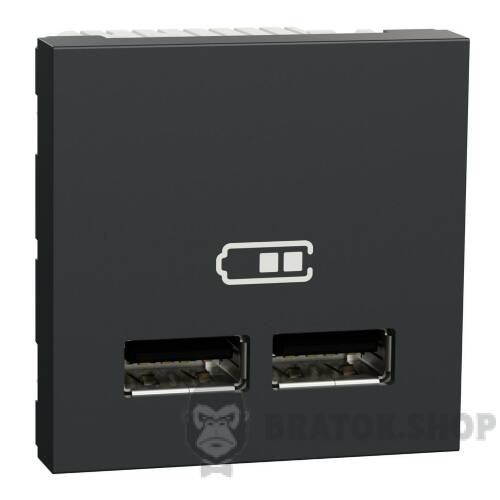 Розетка USB подв. 2.1А 2 модуля антр NU341854 в Киеве