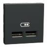 Розетка USB подв. 2.1А 2 модуля антр NU341854 в Киеве