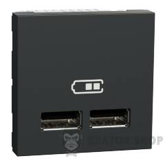 Розетка USB подв. 2.1А 2 модуля антр