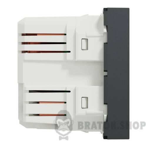 Розетка USB подв. 2.1А 2 модуля антр NU341854 в Киеве