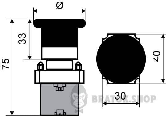 A0140010031-size.jpeg