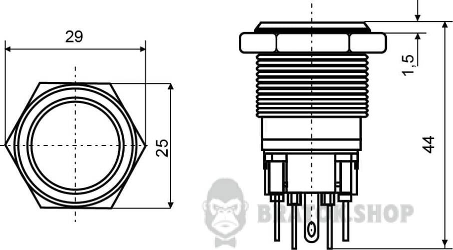 A0140010125-size.jpeg