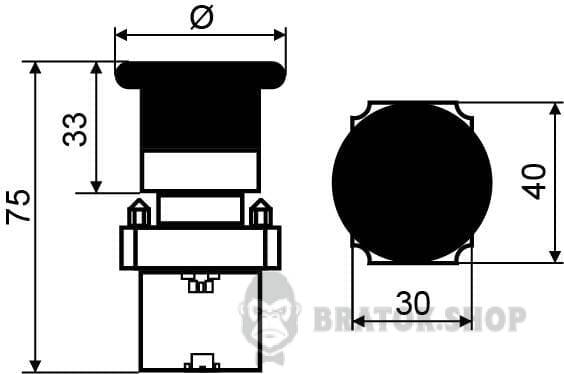 A0140010082-size.jpeg