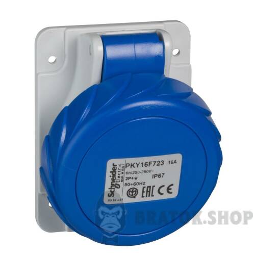ГЛАВА РАЗ.УГОЛ.ШЗ.16A 3P+N+PE 200-250В IP67 PKY16F725 в Киеве