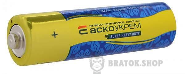 Аско.R6.SP10-1.jpeg